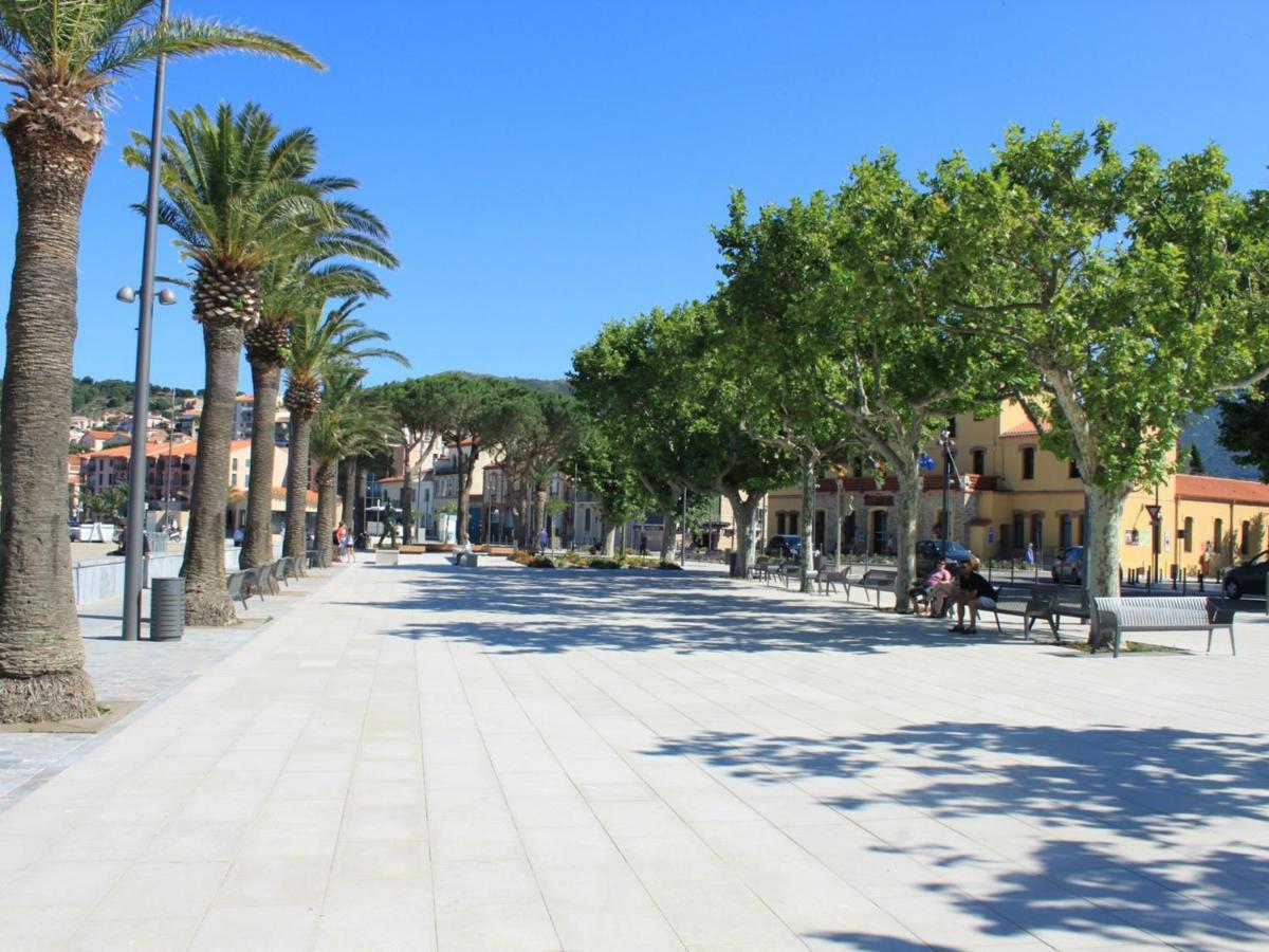 Studio Climatise A 200M Des Plages, Centre-Ville De Banyuls, 2 Couchages - Fr-1-225C-25 外观 照片